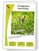 Le magazine des Nor&eacute;ens